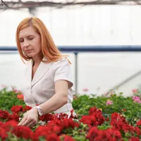 Florile din grădină care prevestesc dacă vine toamna. Cum trebuie să fie după 15 august? - Foto: Freepik