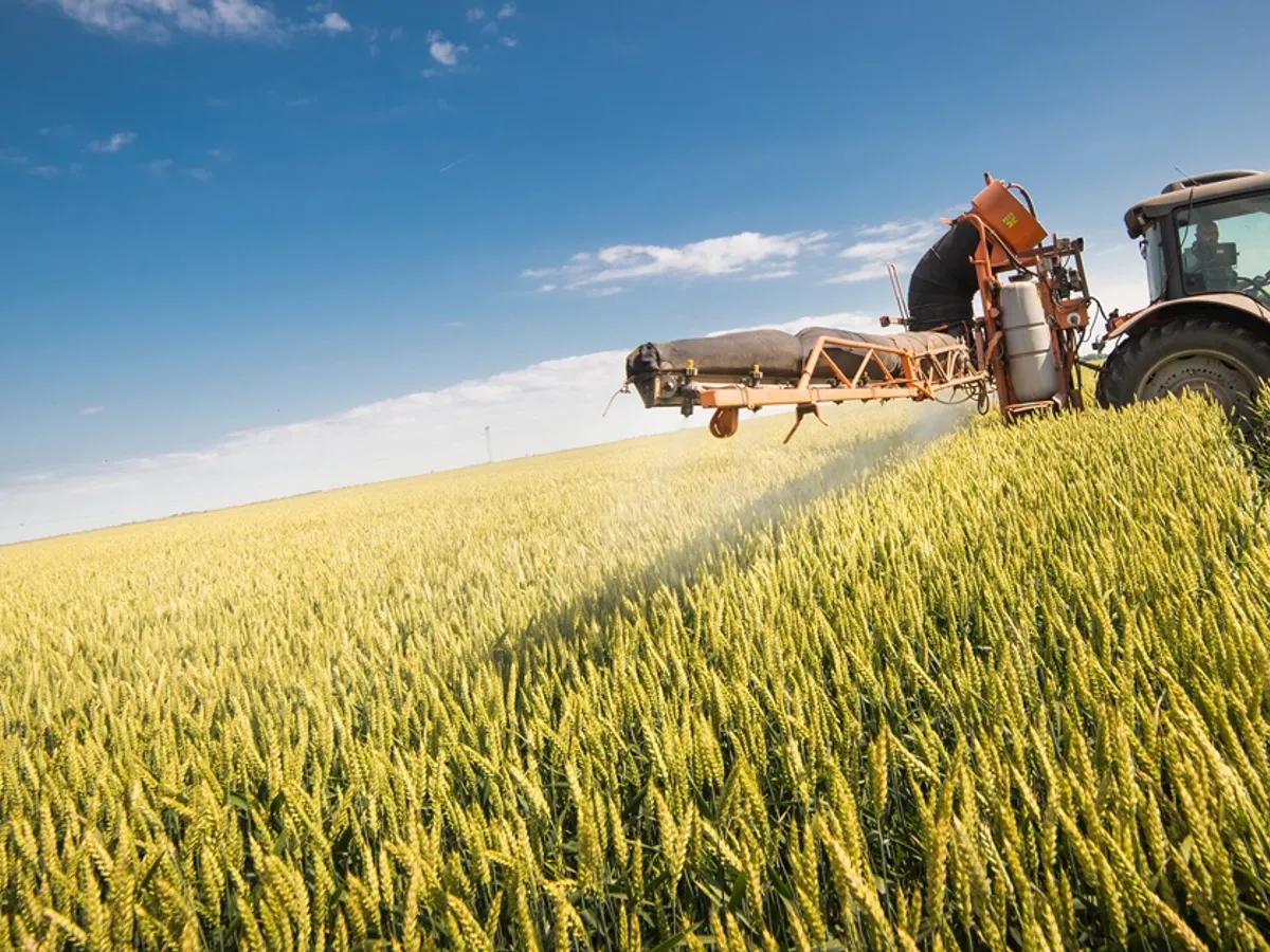 Guvernul a aprobat mai multe măsuri pentru fondurile UE pentru agricultură şi dezvoltare rurală. / Foto: stiriletransilvaniei.ro