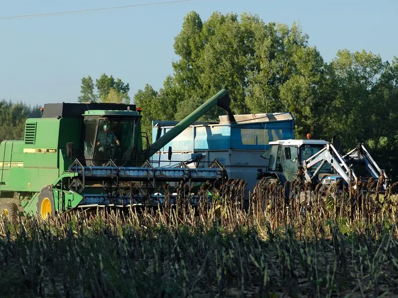 Agricultură, imagine cu caracter ilustrativ - Foto: Profimedia