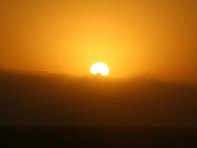 VREMEA Temperaturi de 40 de grade la umbră. Care sunt județele afectate de toropeală Foto: Pexels (fotografie cu caracter ilustrativ)