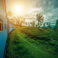 TRen oprit în câmp Foto: Pixabay.com (imagine cu rol ilustrativ)