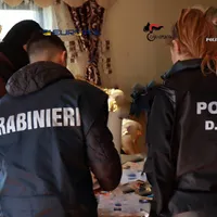 Percheziții în România, Italia și Germania în cazul unei rețele de 59 de hoți români care au furat mărfuri în valoare de 760.000 de euro Foto: Politia Română