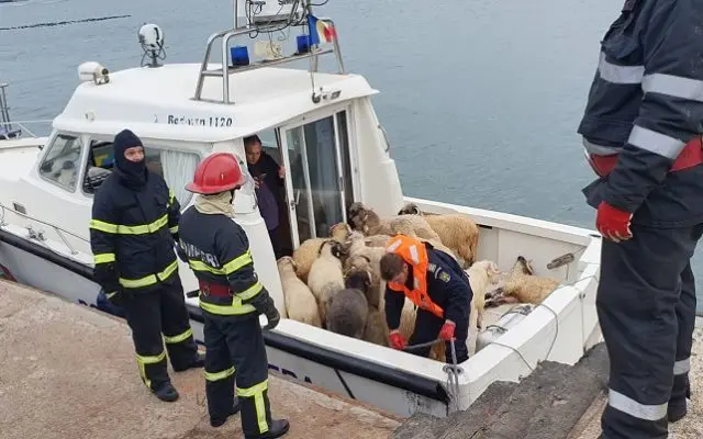 Oile salvate de pe nava răsturnată la Petromidia Foto: ISU Constanța