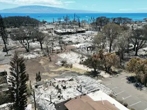 Paradisul exotic din Hawaii, în flăcări. Peste 65 de morți, orașul istoric Lahaina devastat - Foto: Profimedia Images