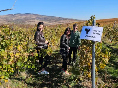 Butaşi din proiectul „Vinul tău din via ta” al Cramei „1000 de Chipuri”