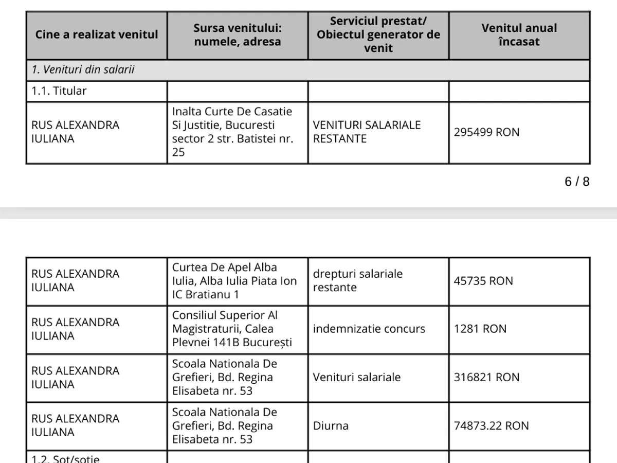 Declarație de avere judecătoare Rus Alexandra - Foto: ANI