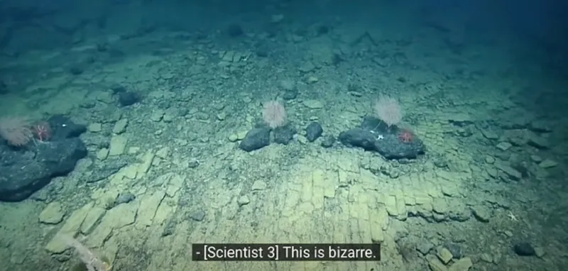 Drum galben &icirc;n Ocean - Foto: Captura