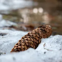 Ninsorile lovesc din nou România. Ne așteaptă un ger de crapă pietrele până la sfârșitul iernii Foto: Pexels (fotografie cu caracter ilustrativ)