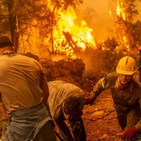 Incendiile de vegetație din vară au provocat emisii record de CO2. / Foto: bbc.com