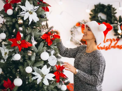Brad Crăciun - Foto: Freepik (Imagine cu rol ilustrativ)