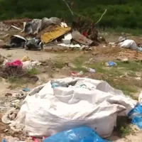 Gunoaiele au fost aduse ilegal în România/Captură video