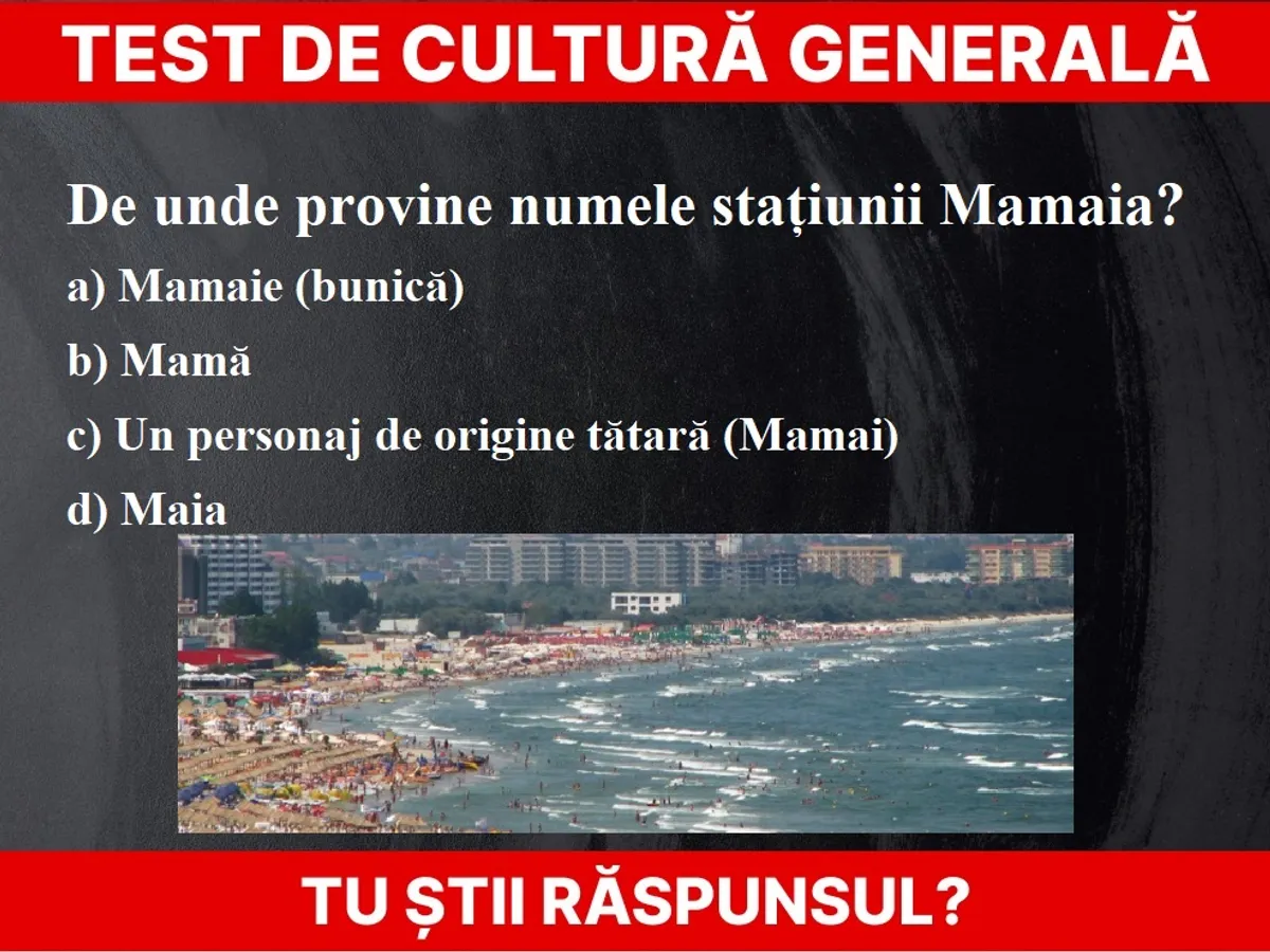 Test de cultură generală Foto: Newsweek