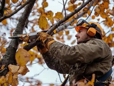 Bărbat care taie crengile toamna - Foto: Freepik (rol ilustrativ)