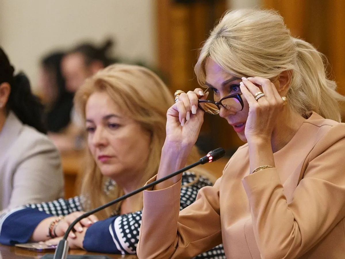 Deputatul Raluca Turcan, la Comisia pentru combaterea violenţei domestice - Foto: INQUAM PHOTOS/Pană Tudor