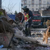 Cum sunt antrenați câinii să salveze oameni de sub dărâmături.  - Foto: Profimedia