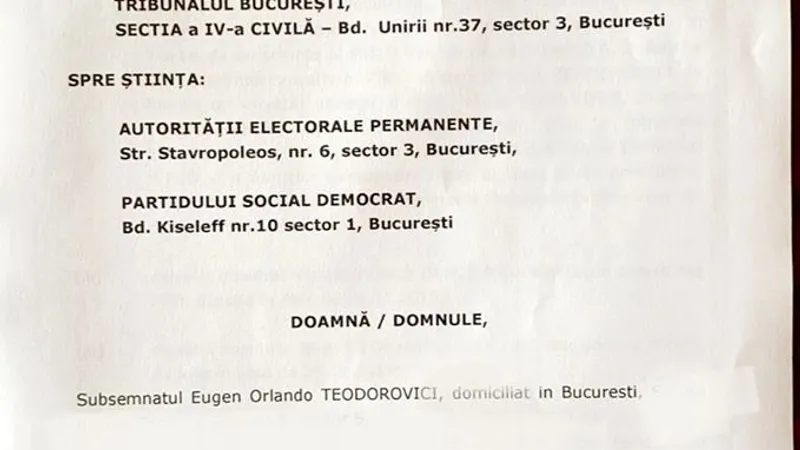 Cererea trimisă de Teodorovici instanței. FOTO: Facebook