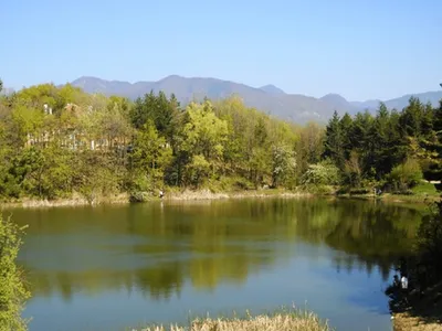Descoperirea făcută de un român în timp ce se plimba prin pădure. A sunat imediat 112 - Foto: Arhiva
