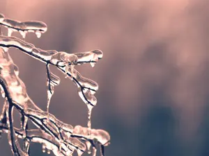 METEO cea mai ciudată iarna din secol. 15 grade în decembrie. Ploi în ianuarie Foto: Pexels (fotografie cu caracter ilustrativ)