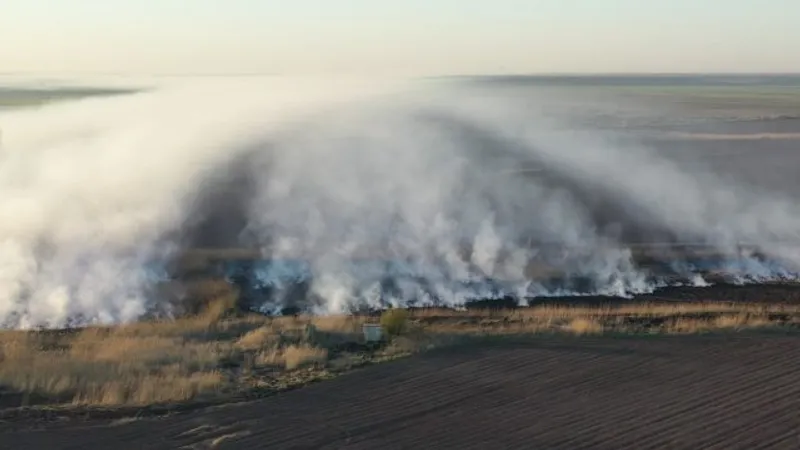 Terenul din Periș care arde și despre care se susține că ar fi sursa poluării.  Foto Garda de Mediu