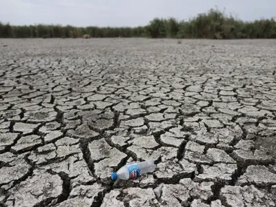Secetă la Comana, în Delta Neajlovului, în judeţul Giurgiu - Foto: INQUAM PHOTOS/George Călin