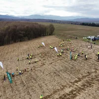 Fundația Pădurea de Mâine și-a atins obiectivul de a planta 1.000.000 de puieți în 5 ani