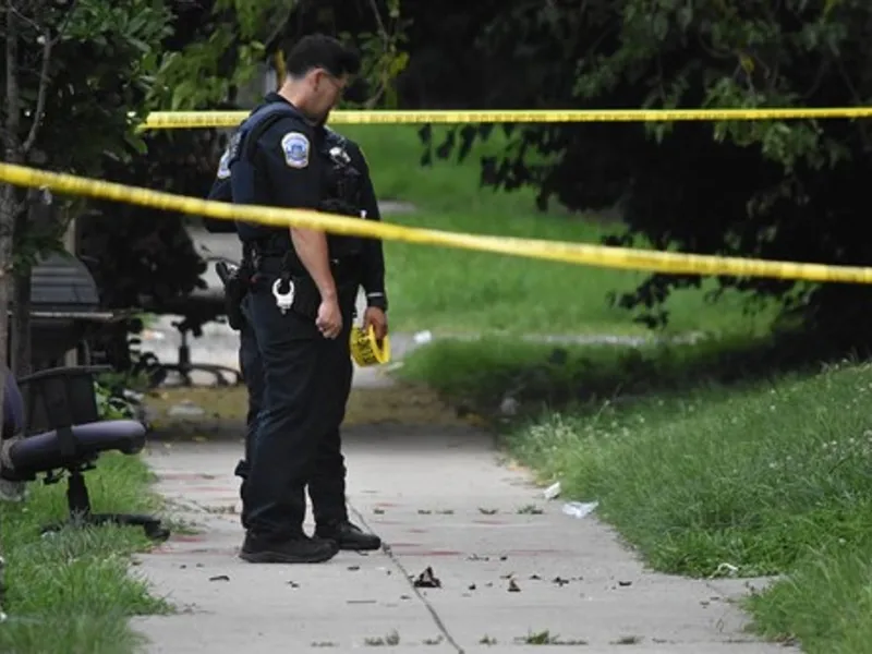 Cadavrul a fost dus într-un parc Foto: Profimedia Images (imagice cu rol ilustrativ)