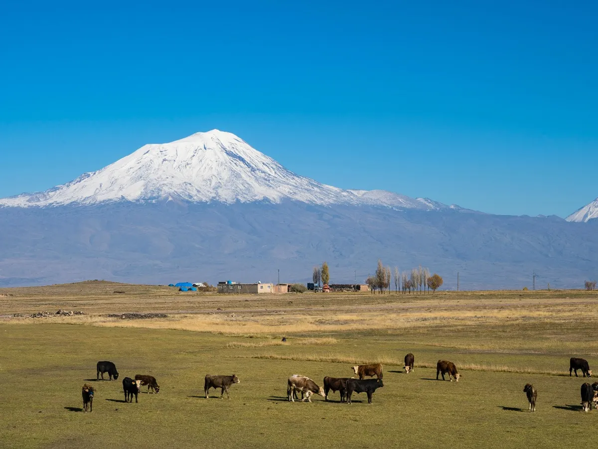 Arca lui Noe din Biblie, găsită pe Muntele Ararat