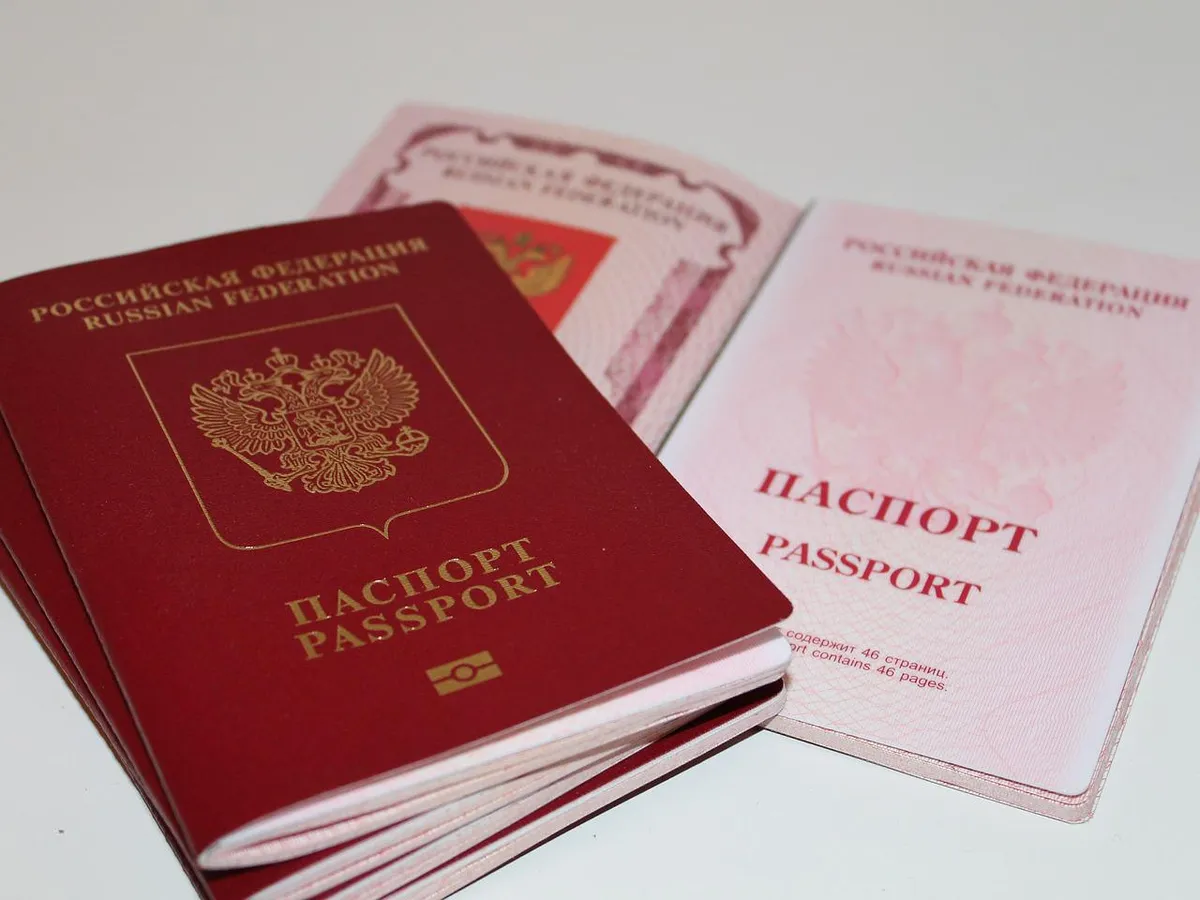Oficial ucrainean: „Obținerea pașaportului rusesc ar trebui să fie considerată infracțiune penală”/FOTO: Pixabay
