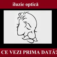 Iluzie optică Foto: Newsweek/themindsjournal.com