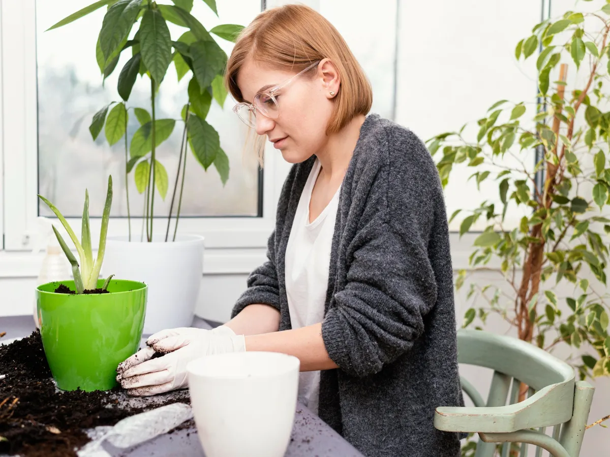 Femeie cu un ghiveci de plante - Foto: Magnific.com (Imagine cu rol ilustrativ)