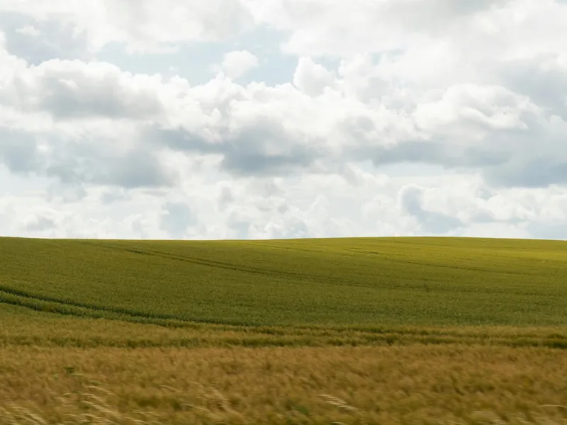 Ajutor de la stat de 6.000 de lei pentru o categorie de români. Care sunt condițiile? Foto: Pexels (fotografie cu caracter ilustrativ)