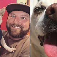 Un câine din statul american California, pe nume Gino, a fost desemnat cel mai bătrân câine în viaţă. / Foto: nypost.com