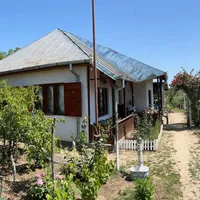 FOTO Paradisul unei femei care după 40 ani „la bloc” se mută la țară: roșii din curte, zacuscă - Foto: facebook/ Viața la țară