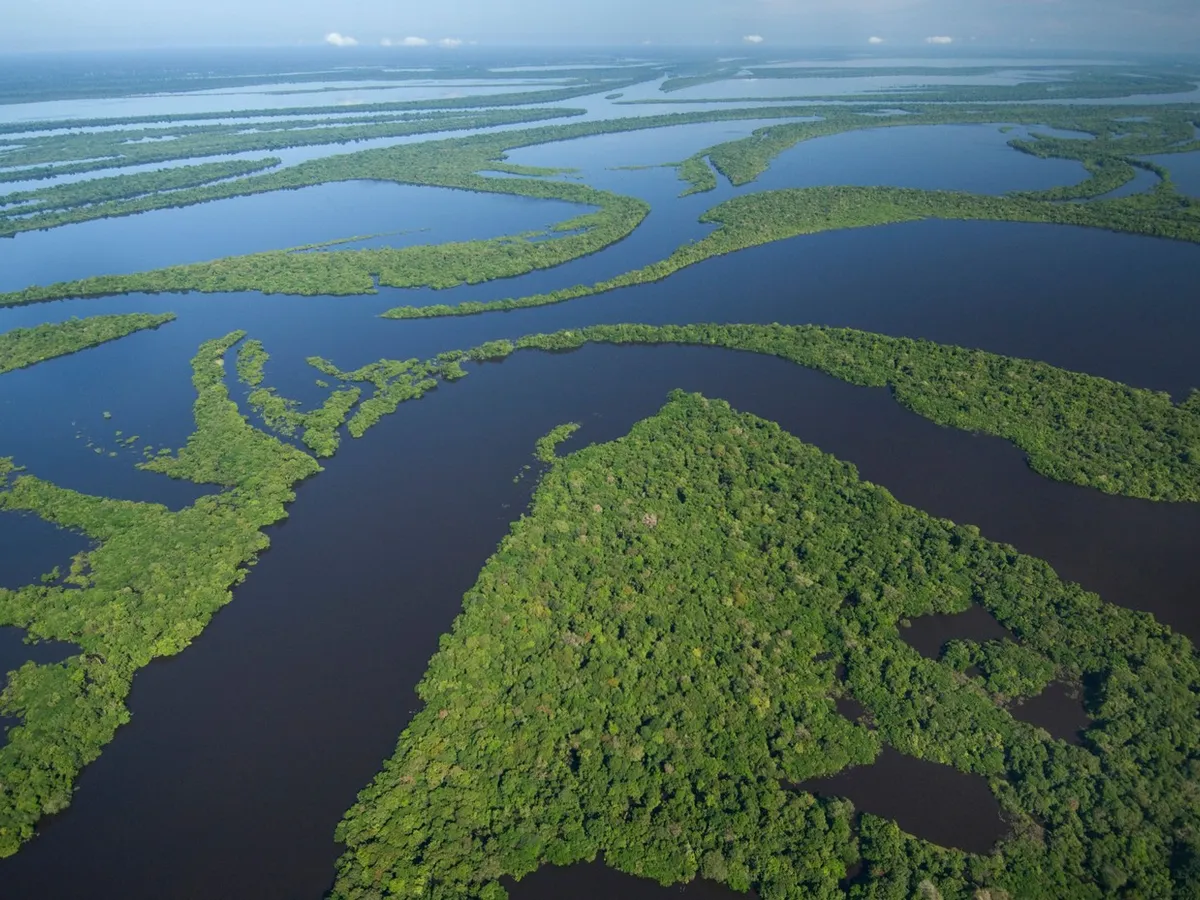 Amazonia - Foto: Profimedia Images