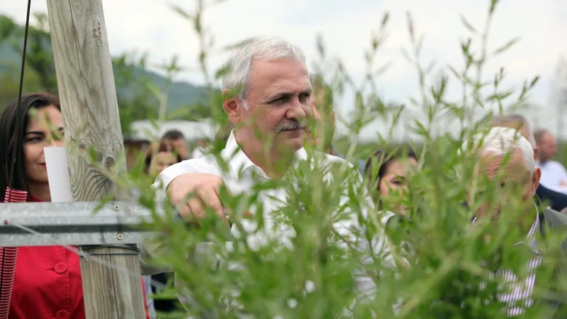 Dragnea, la fereală/FOTO: facebook.com