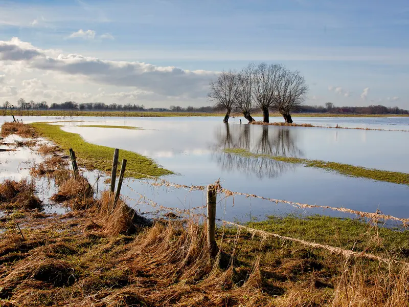 Alerte meteo în toată țara- Foto: PEXELS PHOTOS/Toon de Vos