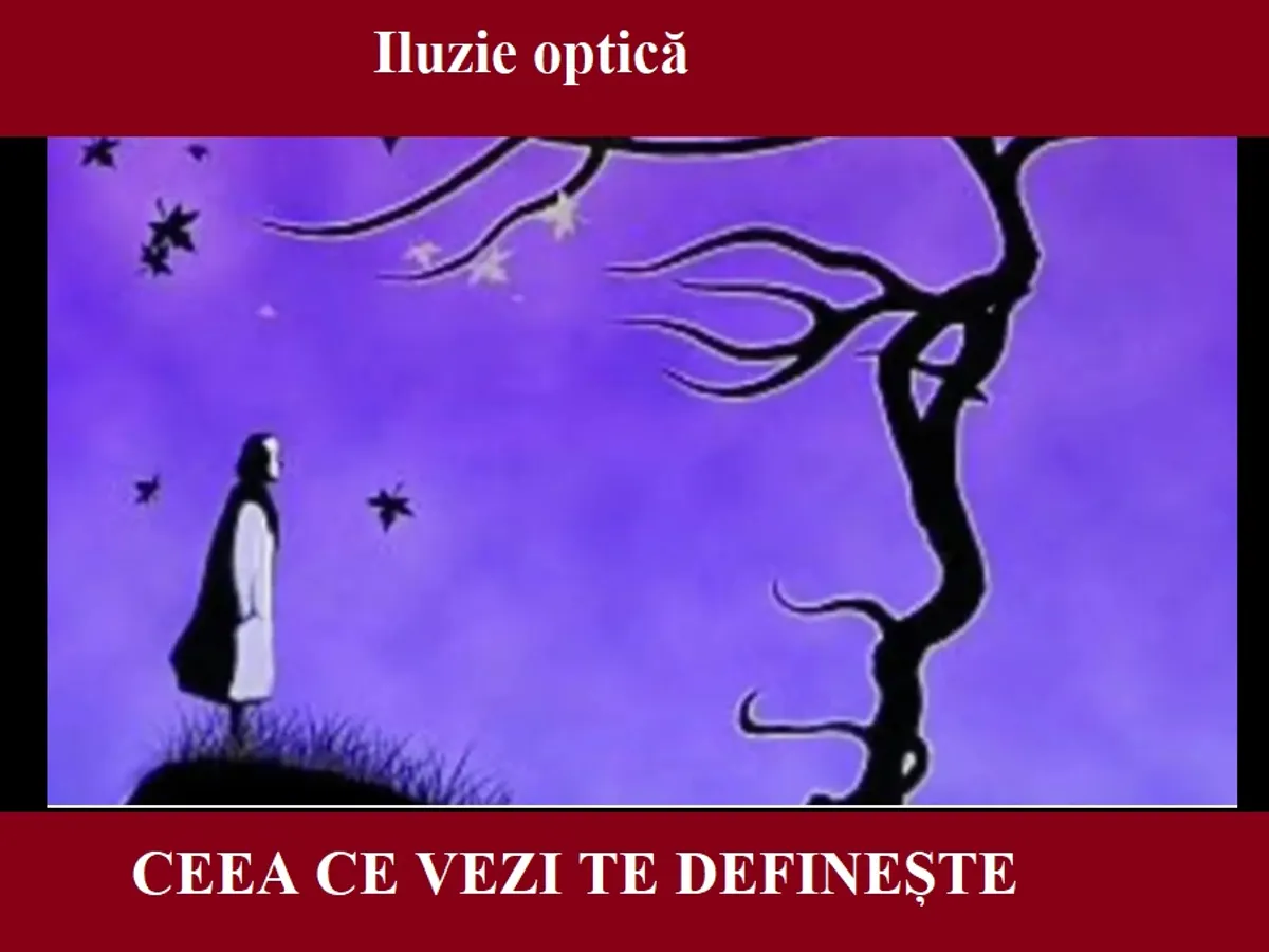 Iluzie optică Foto: Newsweek