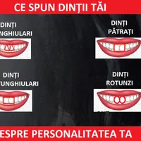 Test de personalitate Foto: Newsweek
