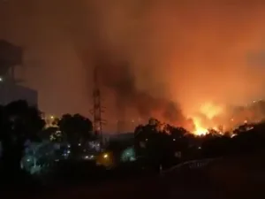 Incendiul s-a apropiat de centrala termică. FOTO: Captură video