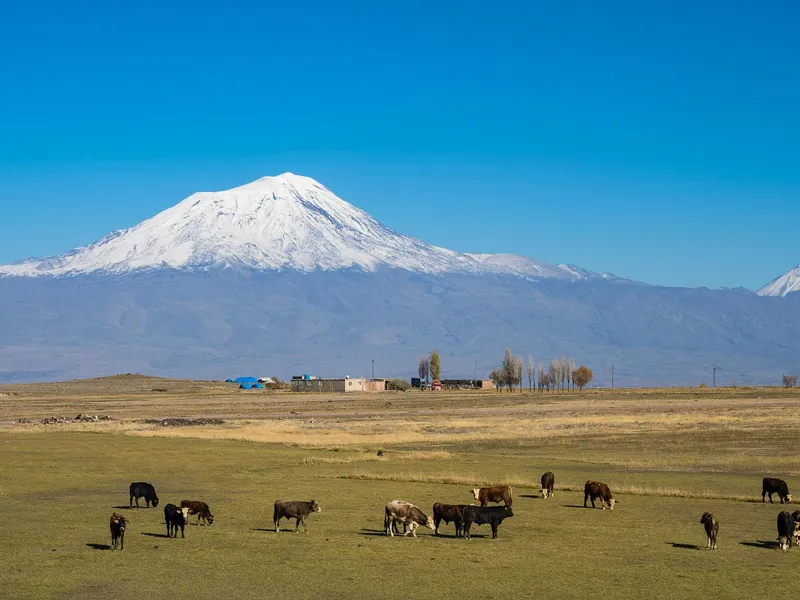 Arca lui Noe din Biblie, găsită pe Muntele Ararat
