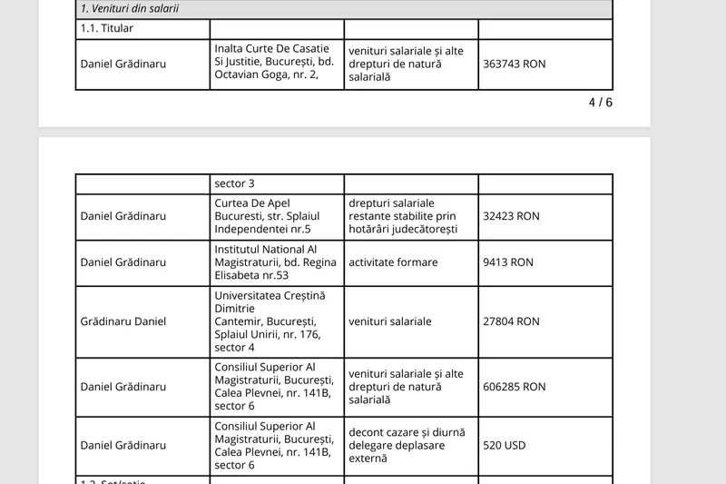 Venituri Daniel Grădinaru - Foto: ANI