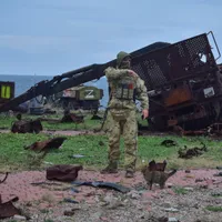 VIDEO Imagini unice de la eliberarea Insulei Șerpilor de către Ucraina. Rusia s-a retras umilită - Foto: Profimedia Images (Imagini cu caracter ilustrativ)