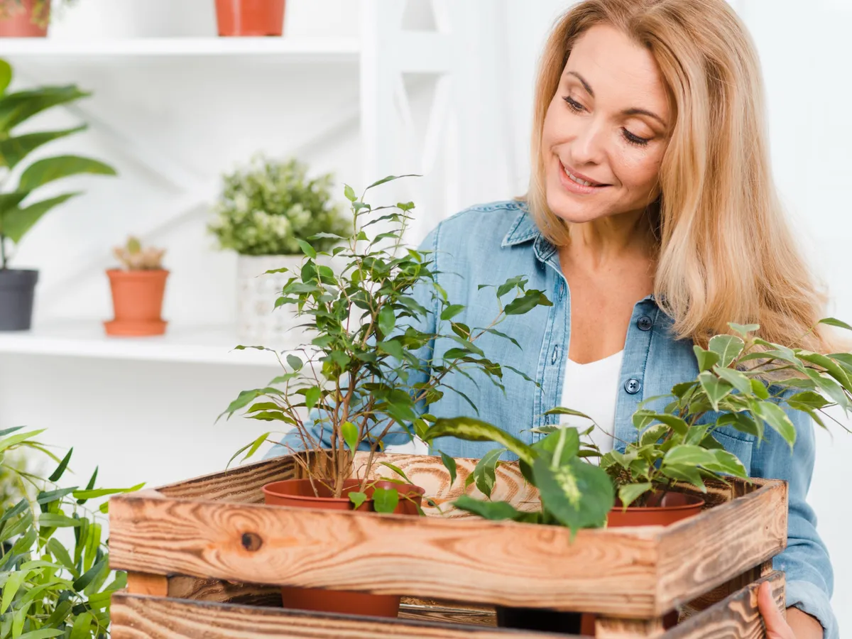 Merită să iernezi plantele aromatice sau ar trebui să cumperi altele noi primăvara? Câteva rezistente - Foto: Freepik (Imagine cu rol ilustrativ)