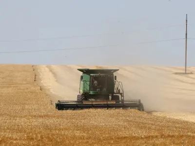 România recoltează FOTO: PROFIMEDIA