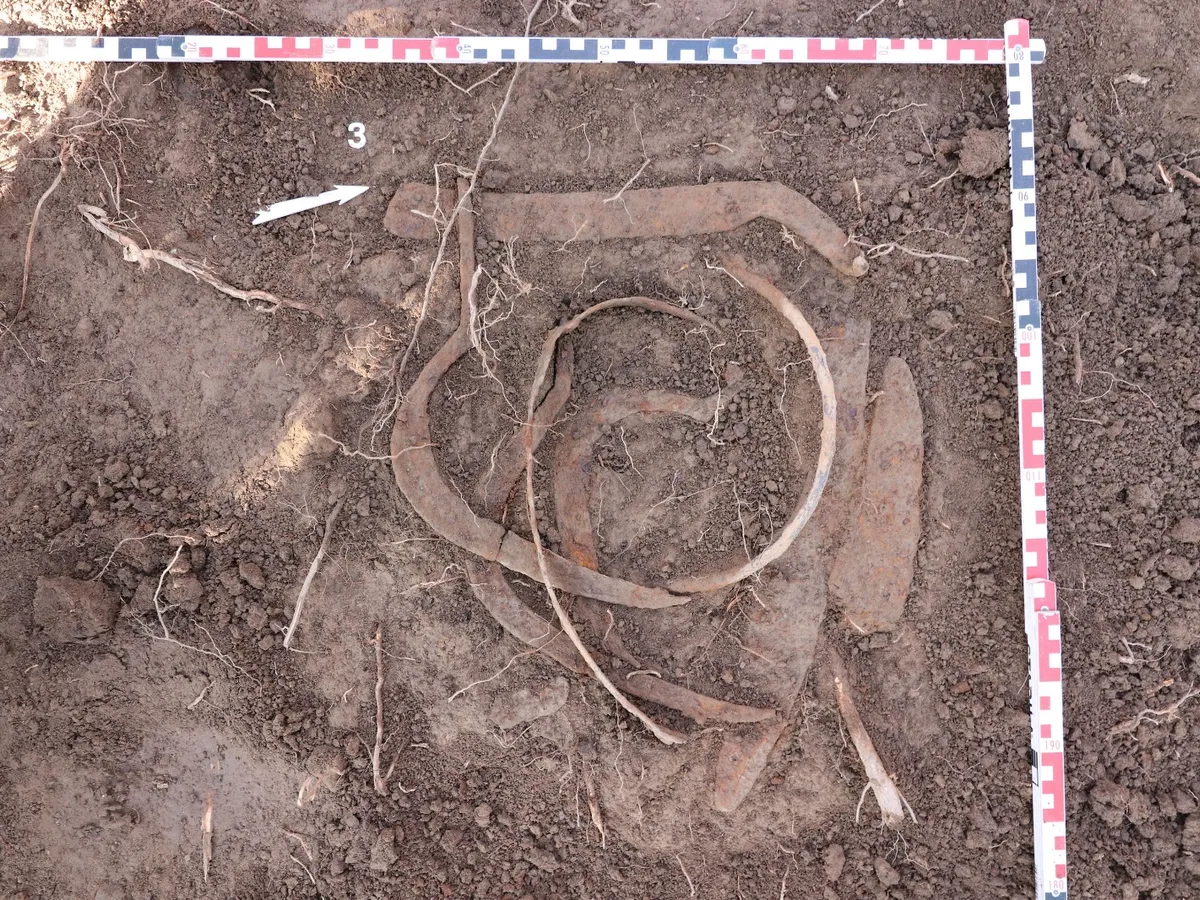 Depozite de arme și unelte agricole din perioada medievală, găsite de un profesor lângă Ploieşti - Foto: Facebook / Muzeul Judeţean de Istorie şi Arheologie Prahova