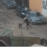 Stăpâna câinilor de luptă care au atacat şi muşcat mai mulţi ieşeni a primit doar amendă penală
