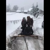 România 2023: Străzi din Câmpulung Moldovenesc, deszăpezite cu un plug improvizat, tras de cai. - Foto: captură video