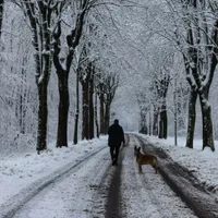 Doi oameni au murit după ce țara lor a fost lovită de zăpadă. Unde se întâmplă? - Foto: AFP
