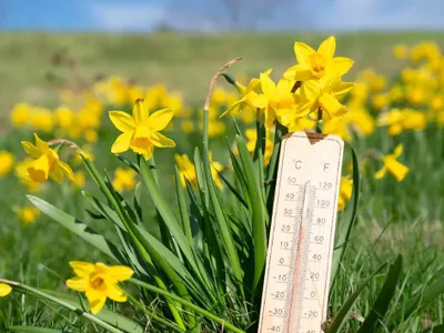 METEO Cum va fi vremea de 1 mai, în România? Cine se bucură de un grătar la soare și cine de umbrelă - Foto: Arhiva (imagine cu rol ilustrativ)