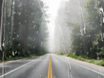 METEO Atenționare de ploi, vijelii și ninsoare. Care sunt județele lovite de fenomenele extreme? Foto: Freepik (fotografie cu caracter ilsutrativ)
